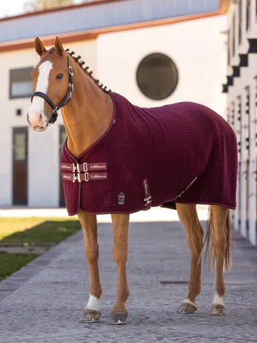 Фото Попона Arika Clima-Tek Burgundy. LeMieux.