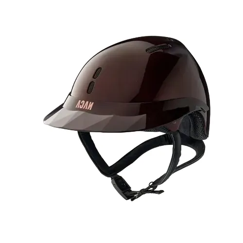 Фото Шлем Gravity S Plum. NACA