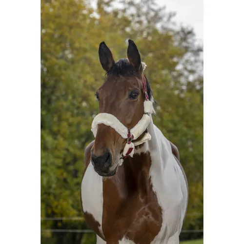Фото Недоуздок Full Mouton с мехом. Norton