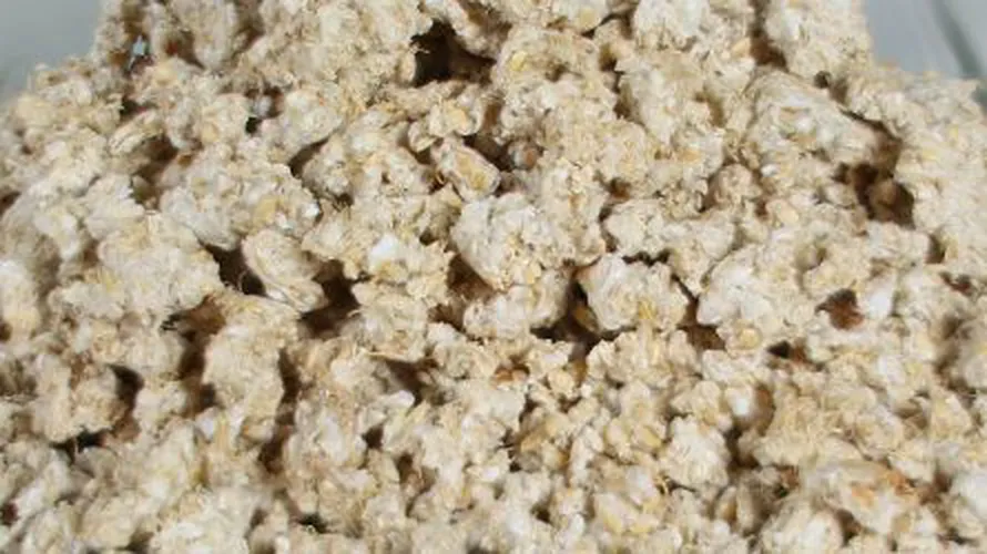 Фото Ячмень экструдированный, 10 кг. Квиглис.