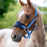 None