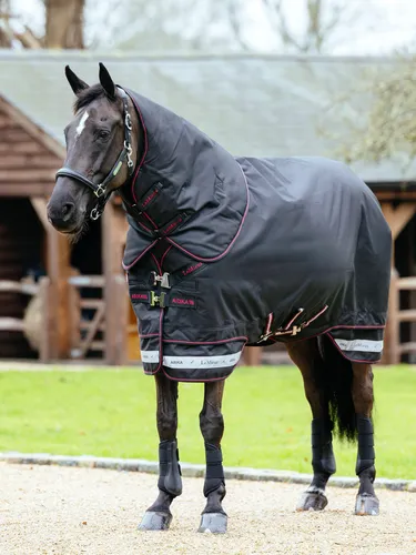 Фото Попона зимняя прогулочная Arika Storm-Tek Rug Black, 350 гр., 1200D. LeMieux