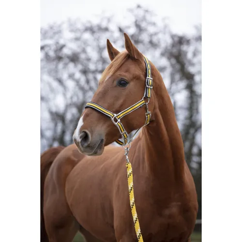 Фото Недоуздок Ligne. Equitheme