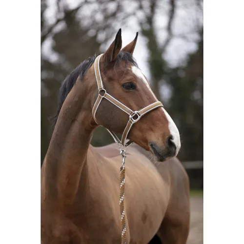 Фото Недоуздок Ligne. Equitheme