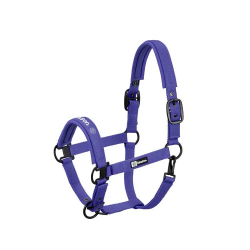 Фото Недоуздок Sparkle Double Pin Purple Dynamic 24. Eskadron