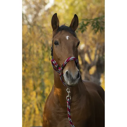 Фото Недоуздок с чомбуром Tresse. Equitheme