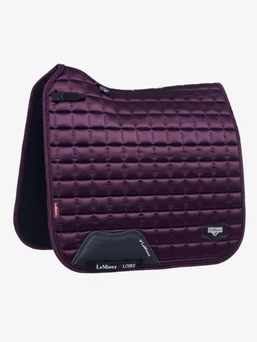 Фото Вальтрап Loire Classic Dressage Square, выездковый. LeMieux