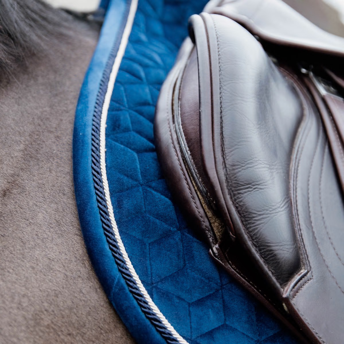Вальтрап конкурный Basic Velvet Navy. Kentucky 5