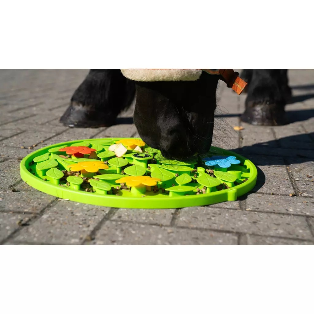 Игрушка-коврик для кормления Snuffle Mat Flower Power. Excellent 4