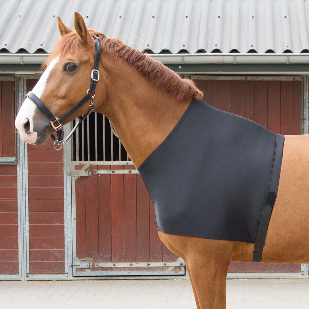 Бандаж из лайкры. Harry's Horse