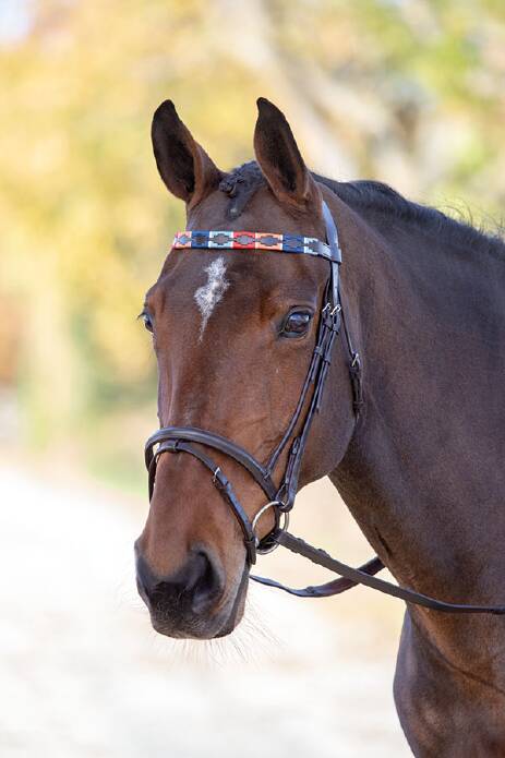 Налобник Polo. Shires