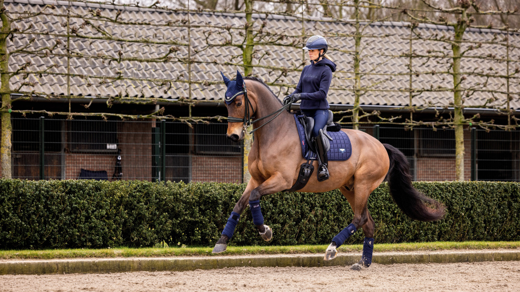 Вальтрап выездковый Loire Classic DR Square Navy. LeMieux 3