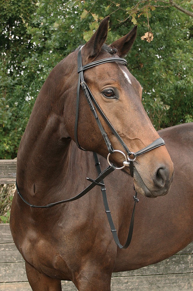 Уздечка трензельная, с чешским капсюлем. Harry's Horse 2