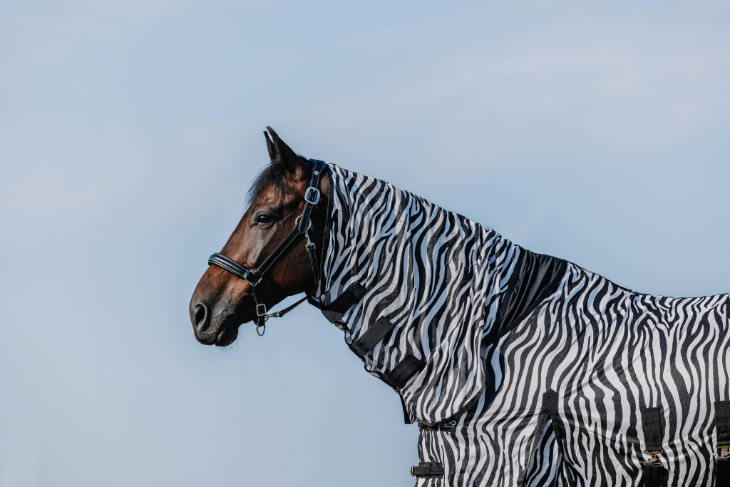 Попона антимоскитная Belly Mesh Zebra. RW 5