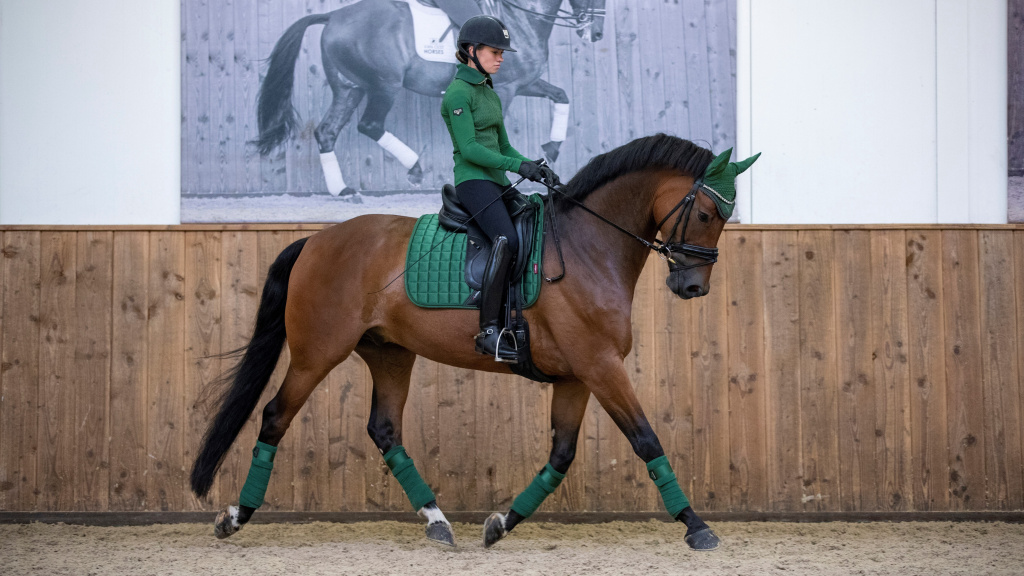 Вальтрап выездковый Loire Classic DR Square Hunter Green. LeMieux 2