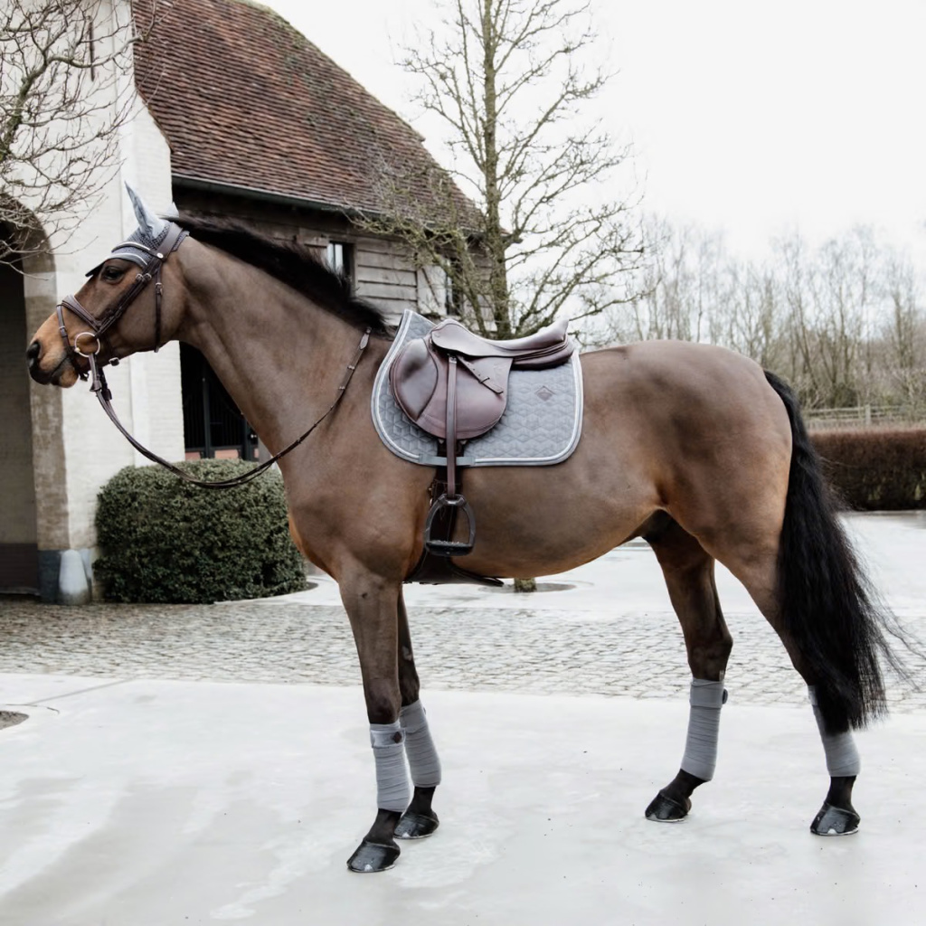 Вальтрап конкурный Basic Velvet Grey. Kentucky 6