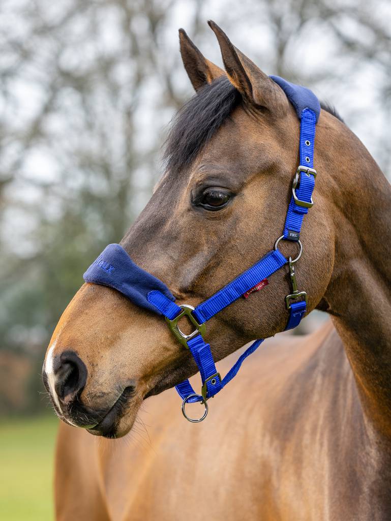 Недоуздок с чомбуром Vogue Royal Blue. LeMieux 2