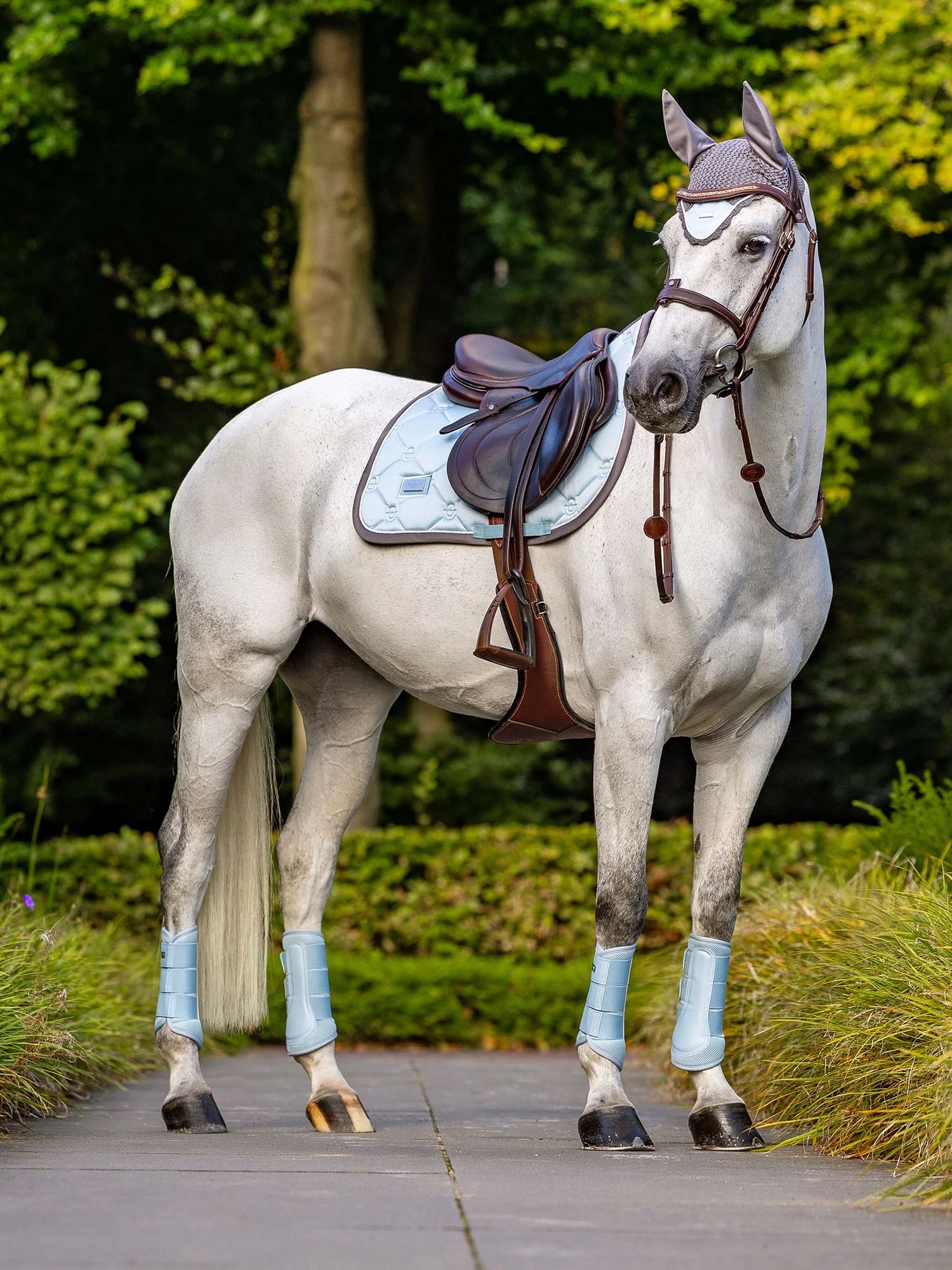 Вальтрап конкурный Ice Blue. Equestrian Stockholm 4