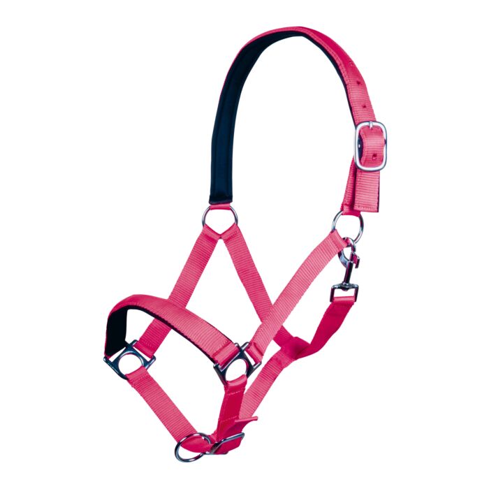 Недоуздок Stars Softice, неопреновая подкладка. HKM 5
