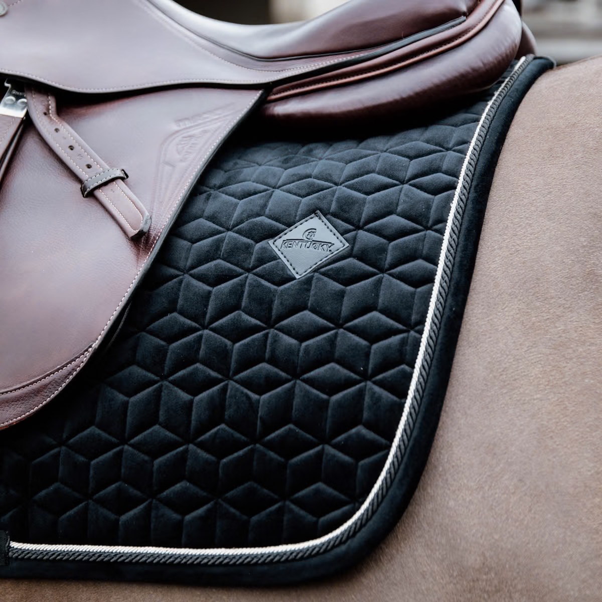 Вальтрап конкурный Basic Velvet Black. Kentucky 3