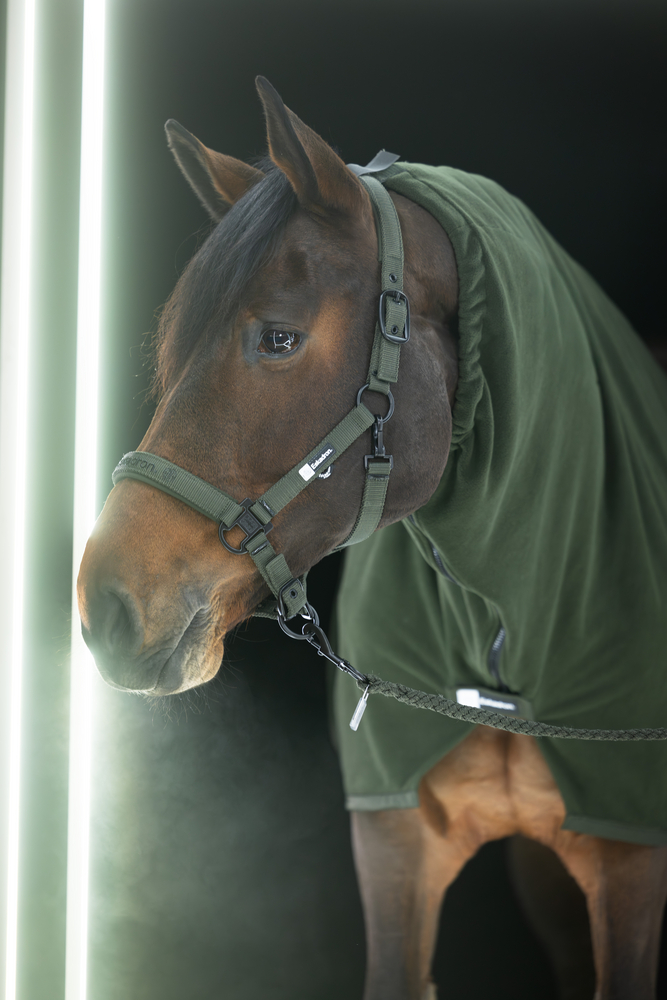 Недоуздок Double Pin Deep Green Dynamic 25. Eskadron 2