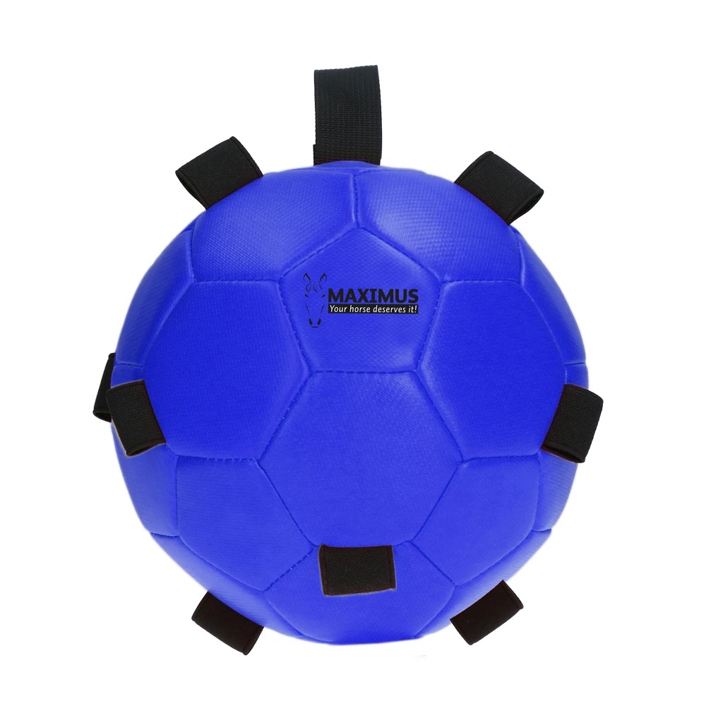 Игрушка Maximus Fun Play Ball Blue. Holland Animal Care 2