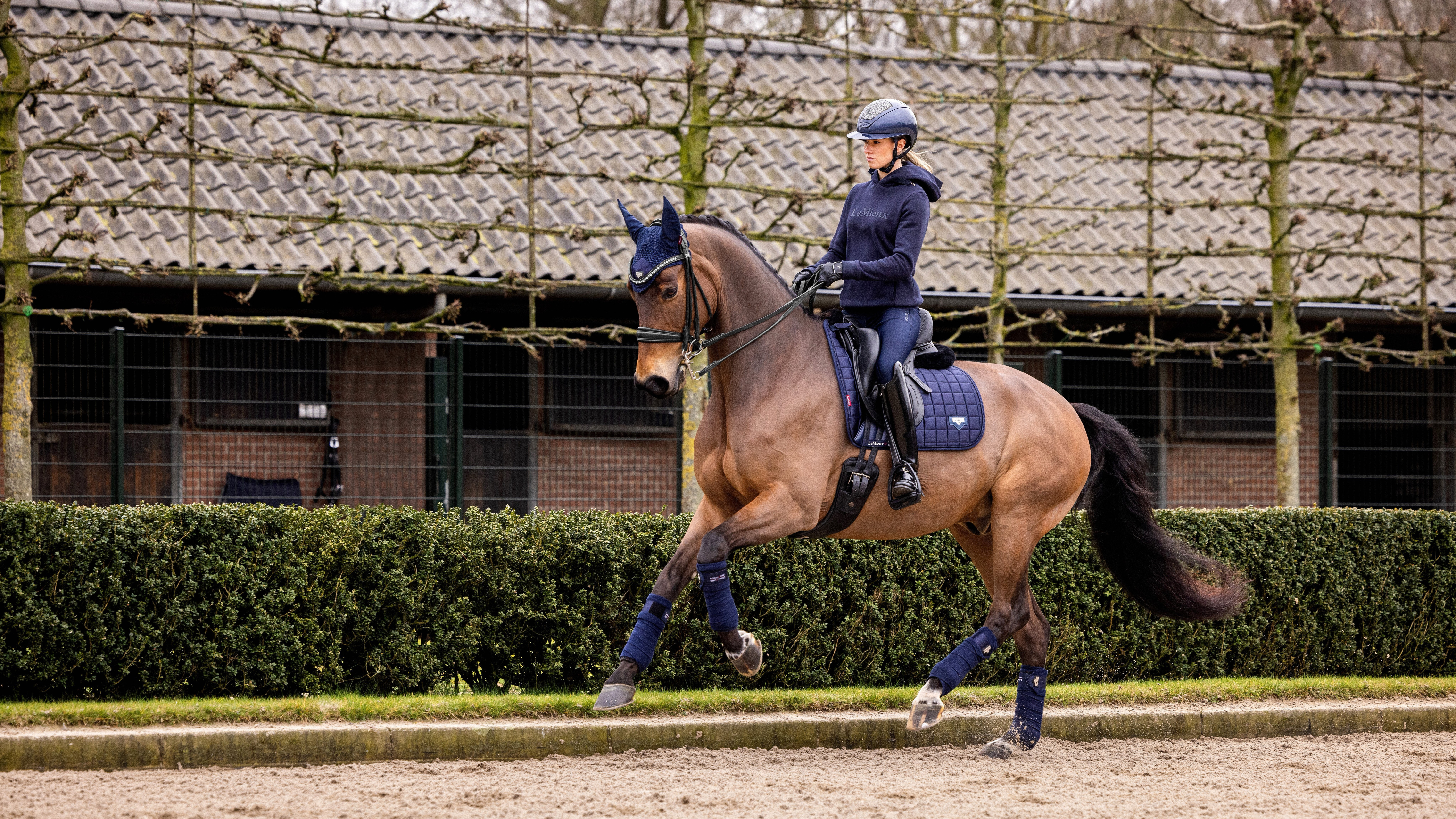 Вальтрап выездковый Loire Classic DR Square Navy. LeMieux 3