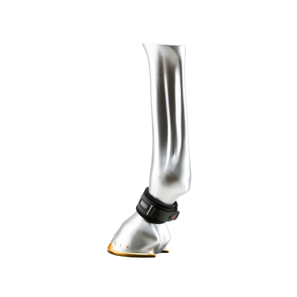 Защита пута Superior Air Pastern Black. Zandona 3