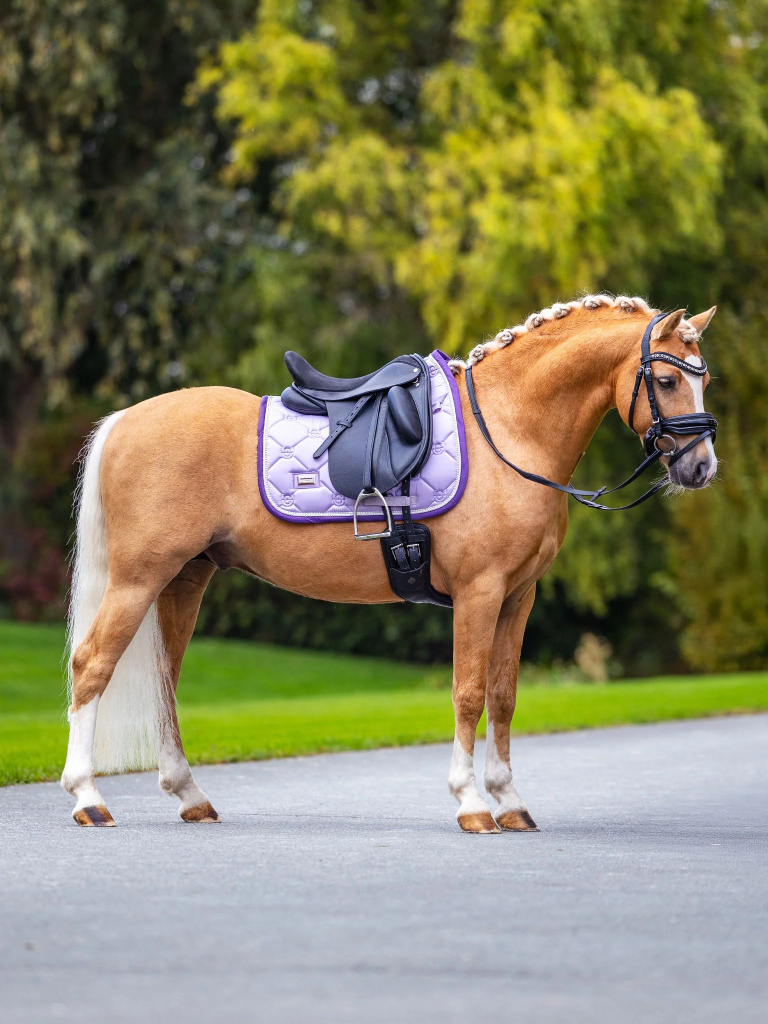 Вальтрап выездковый Lavender. Equestrian Stockholm 5
