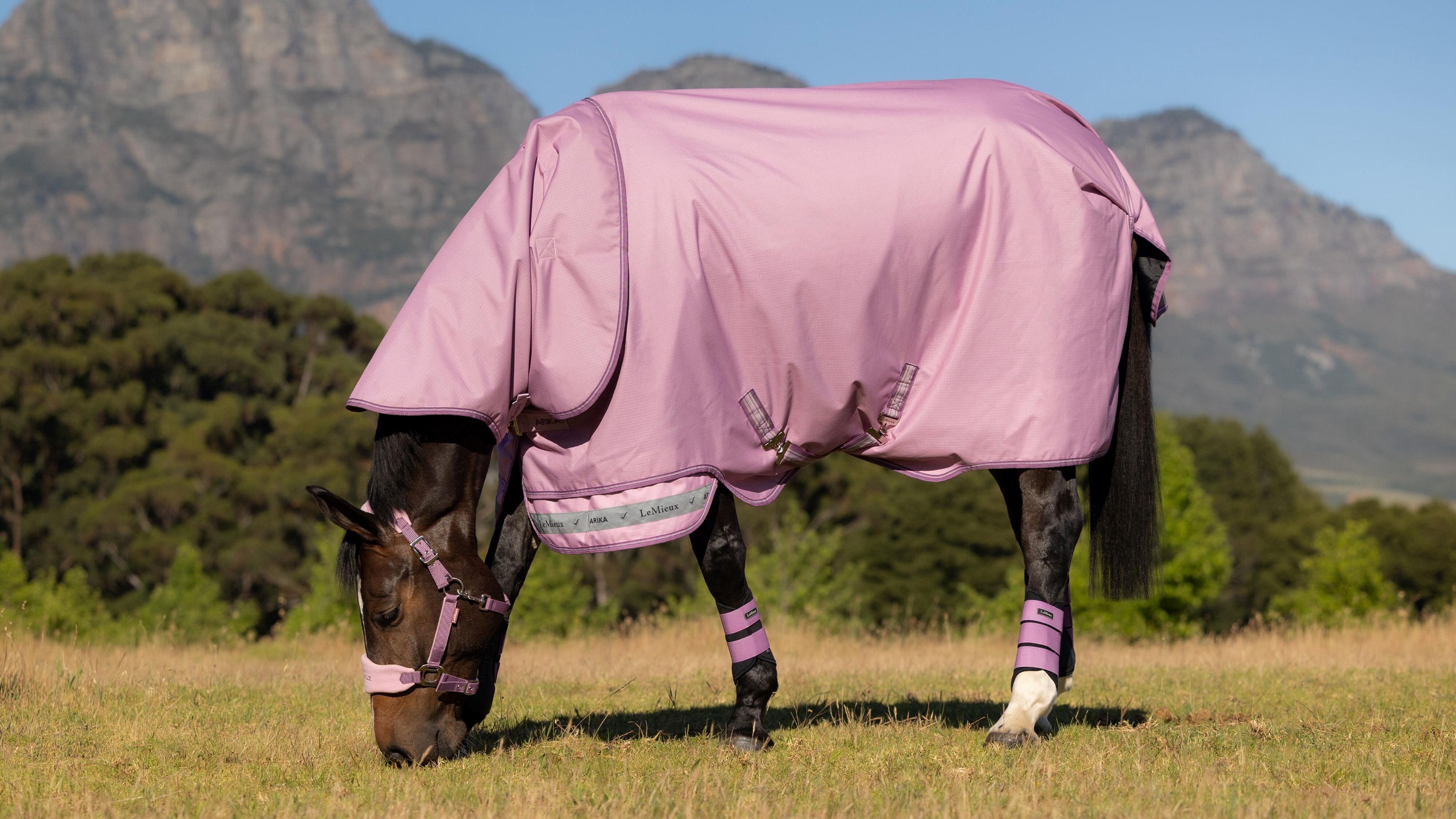 Попона дождевая Arika Ripstop 0g Turnout Rug Fondant, 600D. LeMieux 6