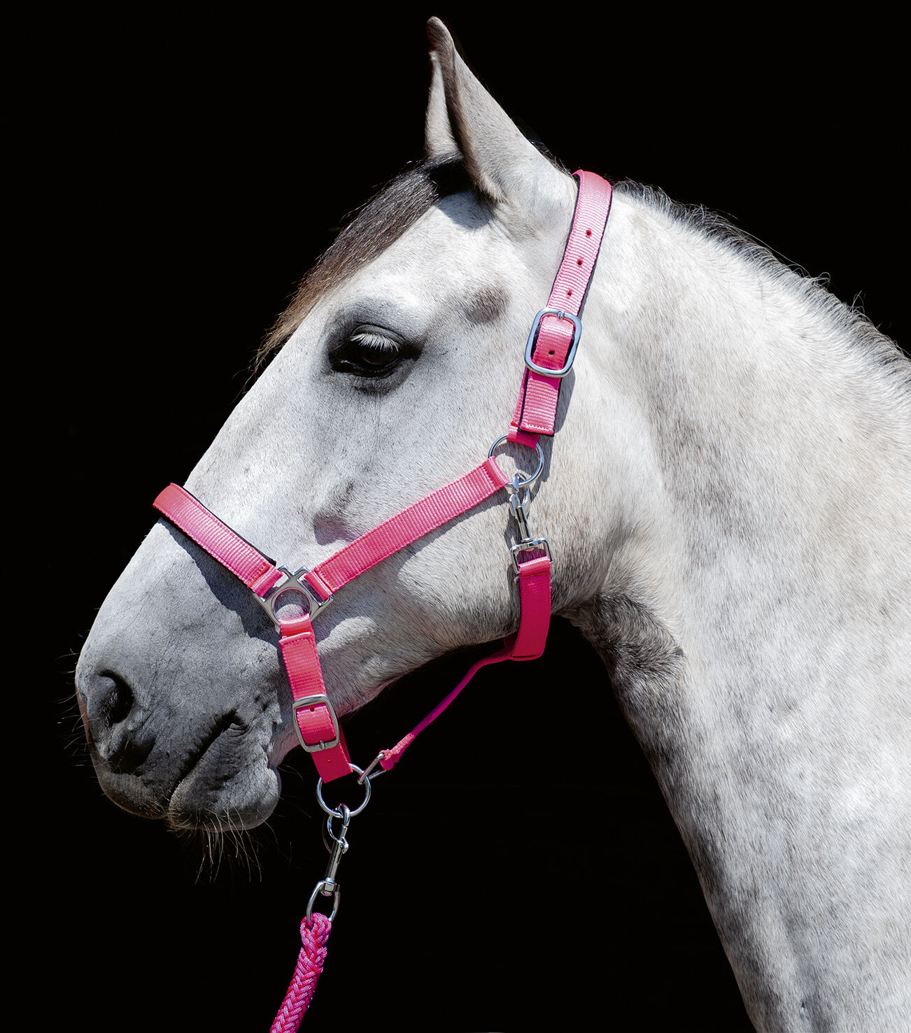 Недоуздок Stars Softice, неопреновая подкладка. HKM 7