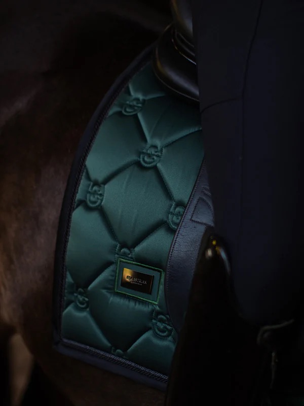 Вальтрап выездковый Sycamore Green. Equestrian Stockholm 3