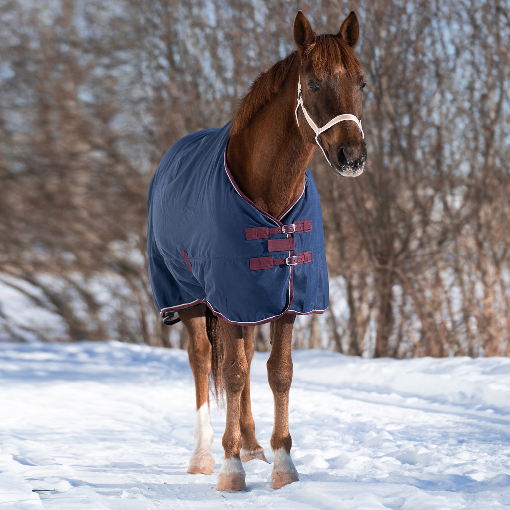 Попона денниковая на флисе Fleece-lined. ПКМ 5