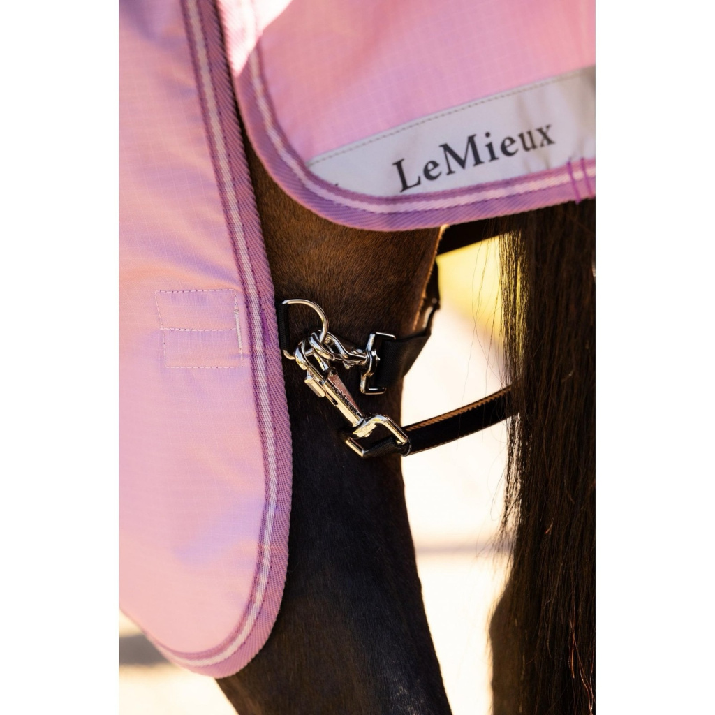 Попона дождевая Arika Ripstop 0g Turnout Rug Fondant, 600D. LeMieux 4