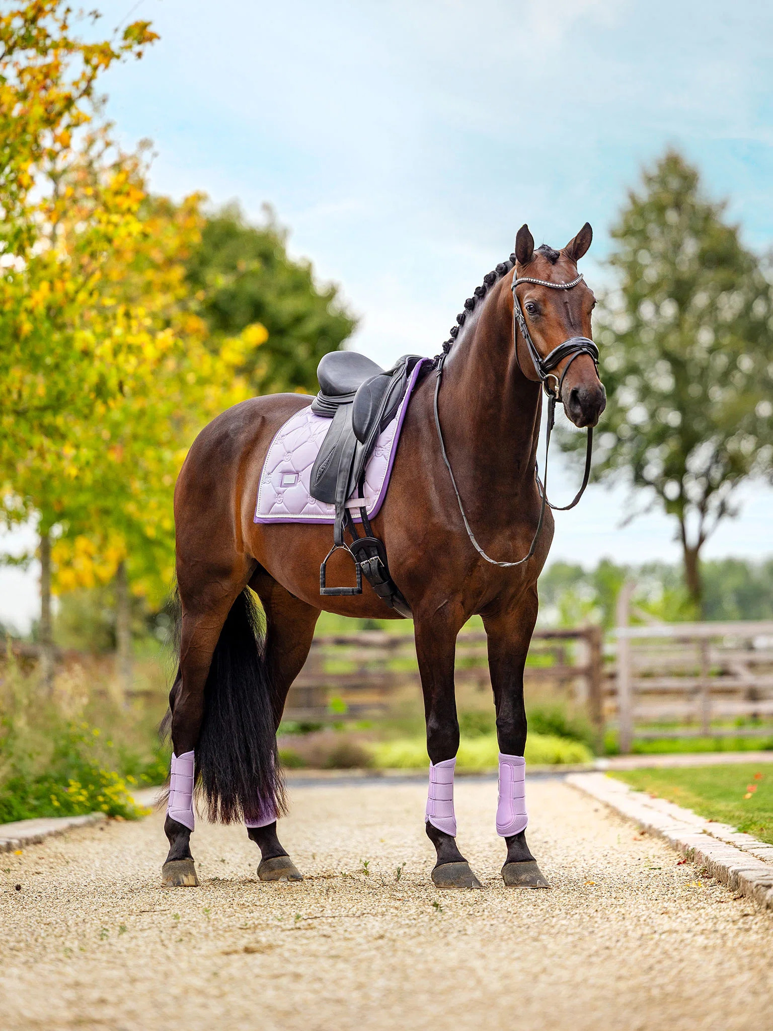 Вальтрап выездковый Lavender. Equestrian Stockholm 4