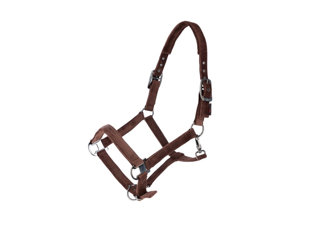 Недоуздок Covalliero 5
