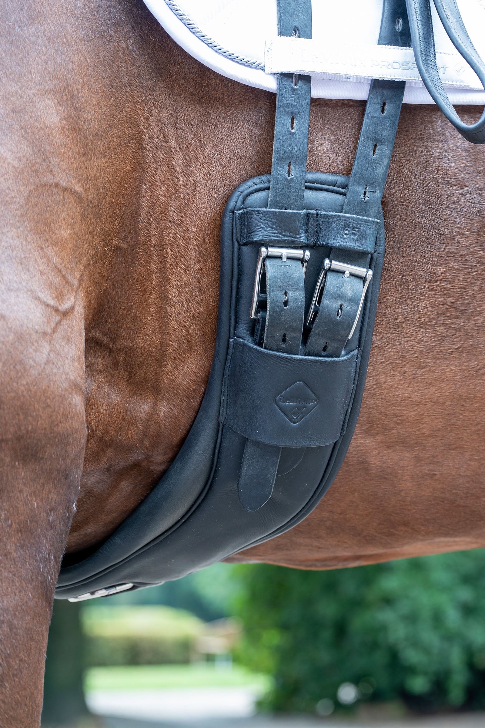 Подпруга выездковая с кольцом Gel-Tek Anatomic Mono Black, кожа. LeMieux 5