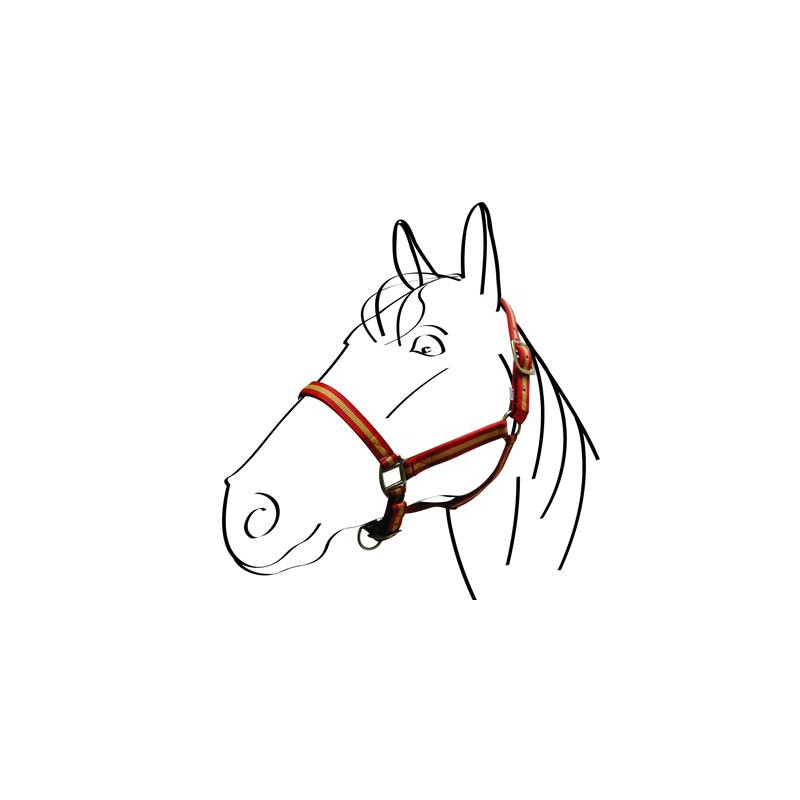 Недоуздок Lined. Norton 6