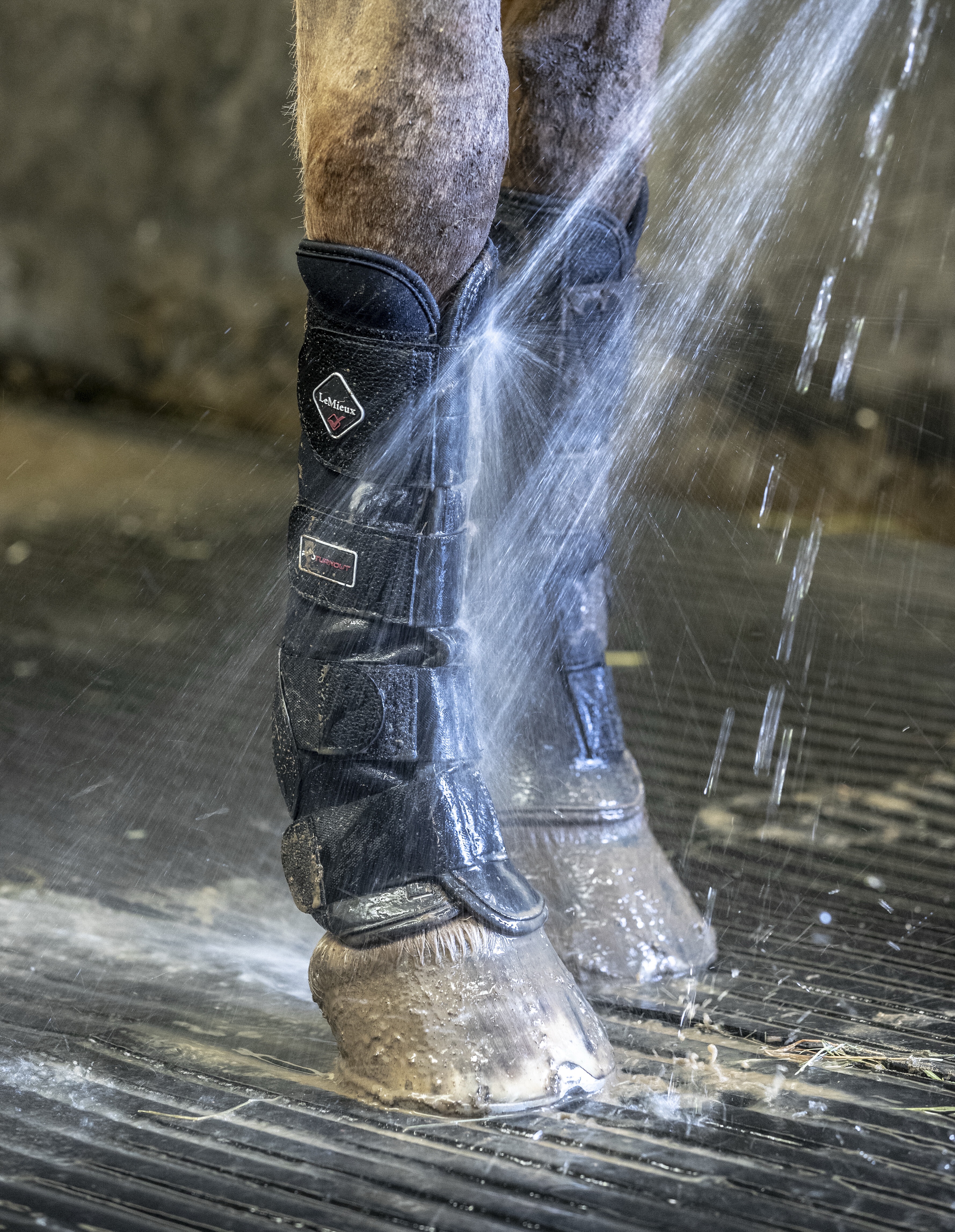 Ногавки прогулочные Turnout Boots Black. LeMieux 2