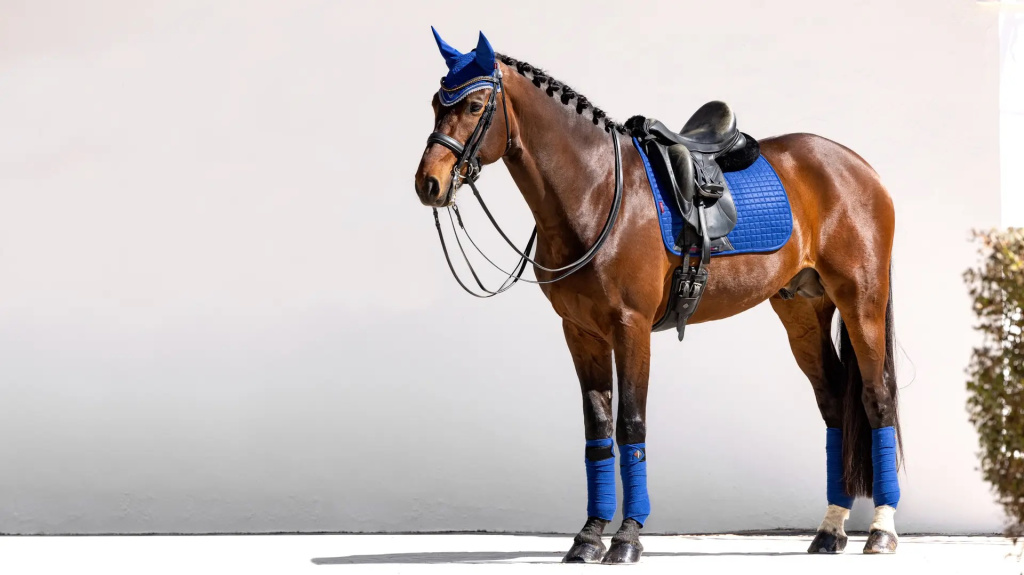 Вальтрап выездковый Suede DR Square Benetton Blue. LeMieux 3