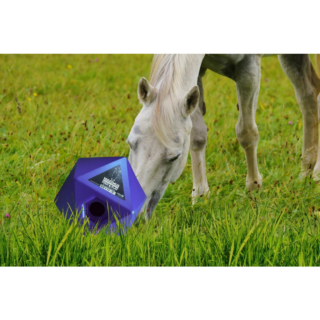 Игрушка Maximus Blue. Holland Animal Care 3