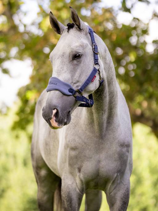 Недоуздок с чомбуром Vogue Indigo. LeMieux 2
