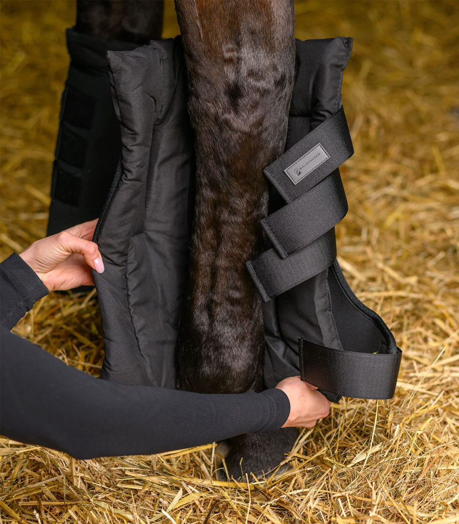 Ногавки денниковые Black, пара. Waldhausen 7