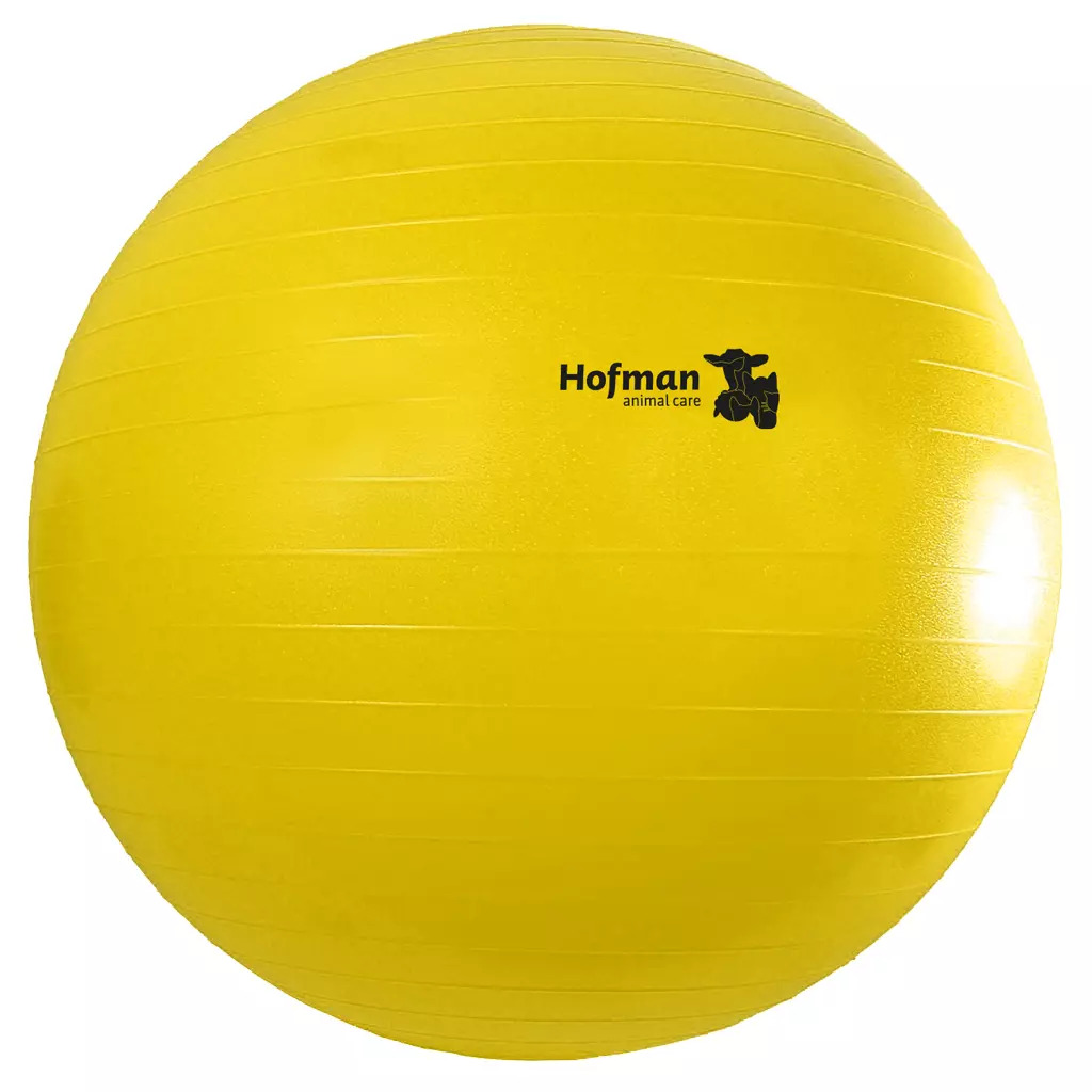 Мяч Maximus Power Play, 75 см. Holland Animal Care 2