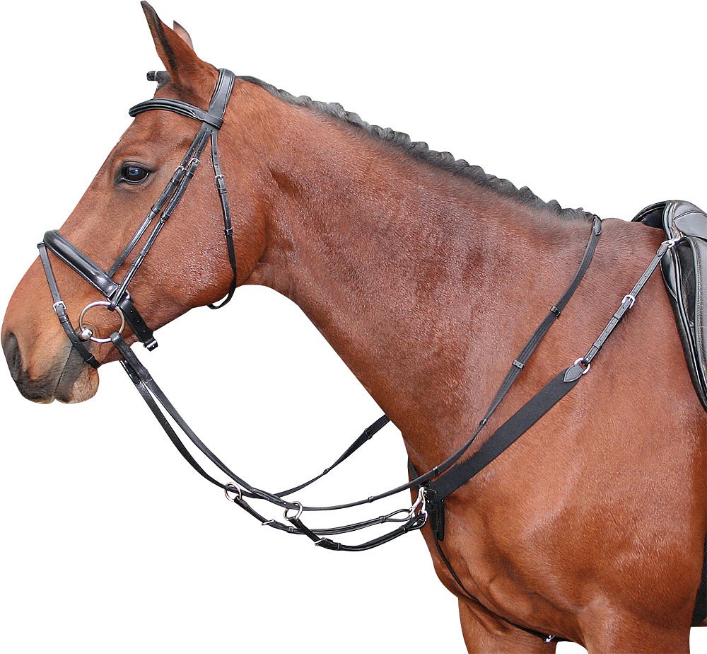 Мартингал с эластичной вставкой Black. Harry's Horse 2