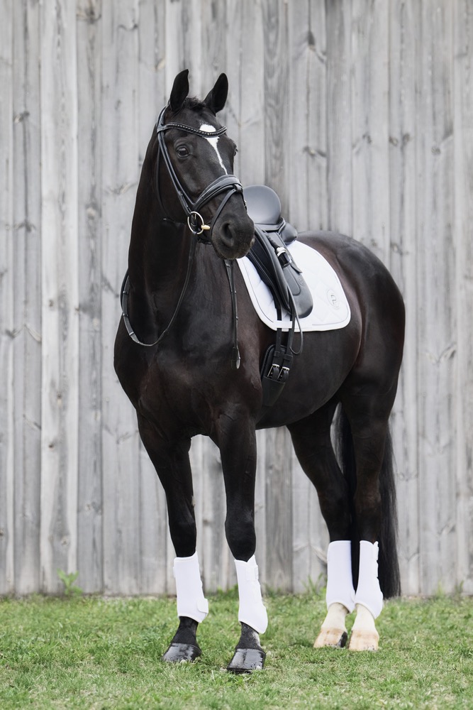 Вальтрап выездковый Softshell Emblem White Platinum 24. Eskadron 3