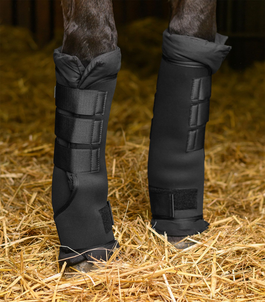 Ногавки денниковые Black, пара. Waldhausen 5