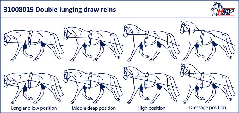 Вожжи нейлоновые, комбинированные. Harry's Horse 2