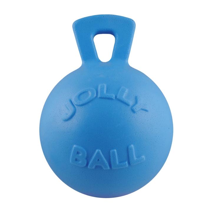 Мяч Jolly Ball Blueberry, 25см., ароматический