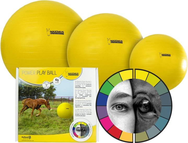 Мяч Maximus Power Play, 65 см. Holland Animal Care